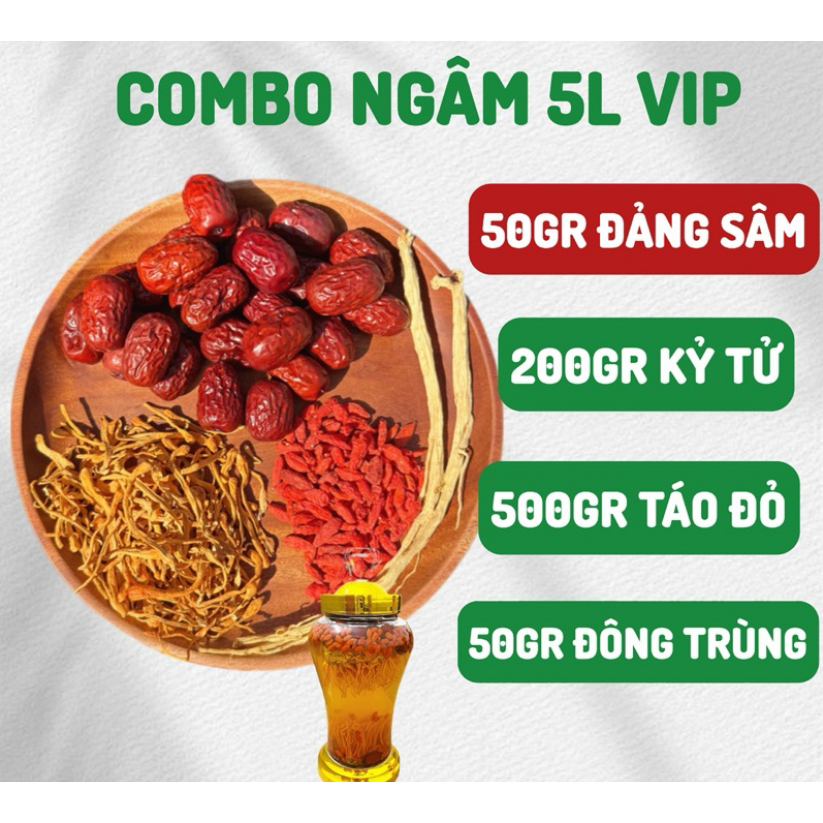 SET Ngâm 5L rượu Trị Mất Ngủ, YSL  Đông Trùng, Táo Đỏ, Kỷ Tử, Đẳng Sâm