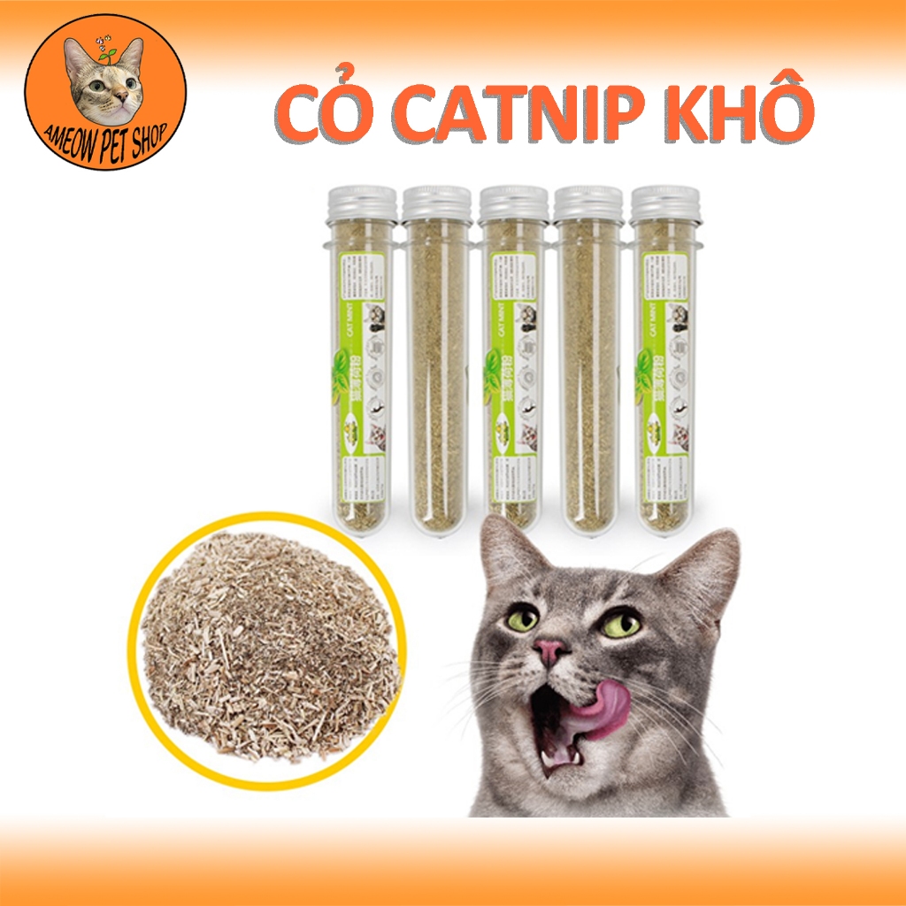 CỎ MÈO KHÔ CATNIP