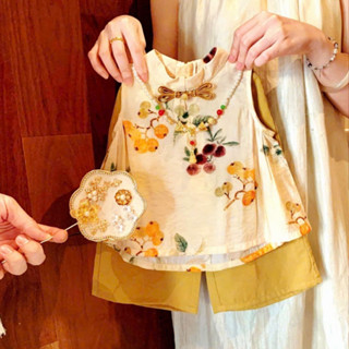 Bộ đồ quần áo bé gái- set bộ đồ bé gái cổ tàu hình quả hồng cho bé từ 1 tuổi đến 6 tuổi