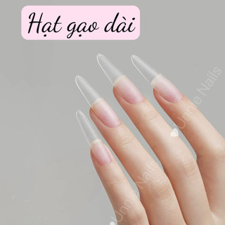 Móng úp hạt gạo dài cao cấp Annies chính hãng , 300 móng phiên bản đặc biệt - Unnie Nails