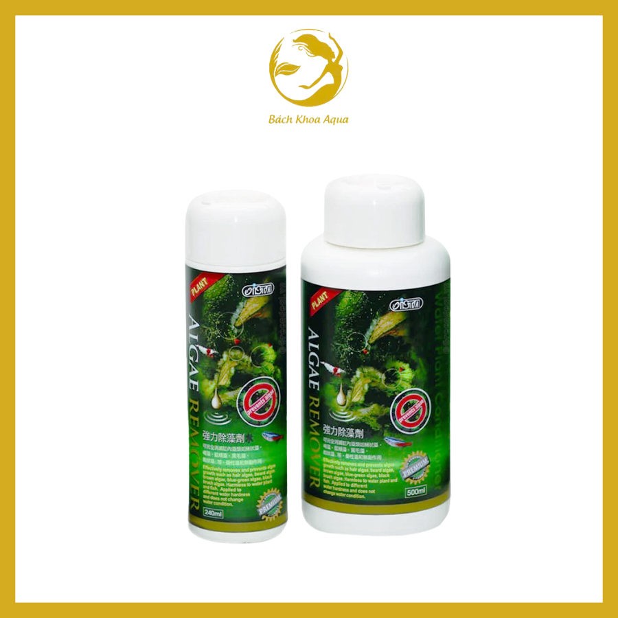 Dung dịch Ista Algae Remover loại bỏ rêu tảo, giữ nước trong cho bể thủy sinh