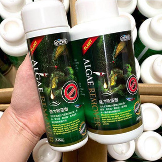Dung dịch Ista Algae Remover loại bỏ rêu tảo, giữ nước trong cho bể thủy sinh