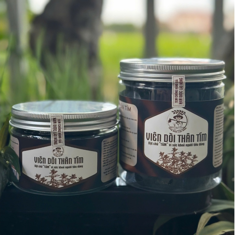 Cây Dòi Thân Tím Mật Ong - Cây Dòi Thân Tím