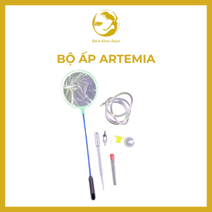 Bộ ấp Artemia BKA - Dụng cụ ấp trứng tôm, nở nhanh, tỷ lệ cao cho cá cảnh, tép cảnh