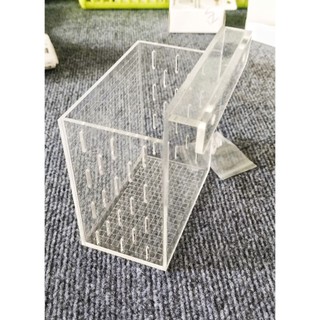 1 Box Dưỡng Tép&Cá 12x7x12cm Box12