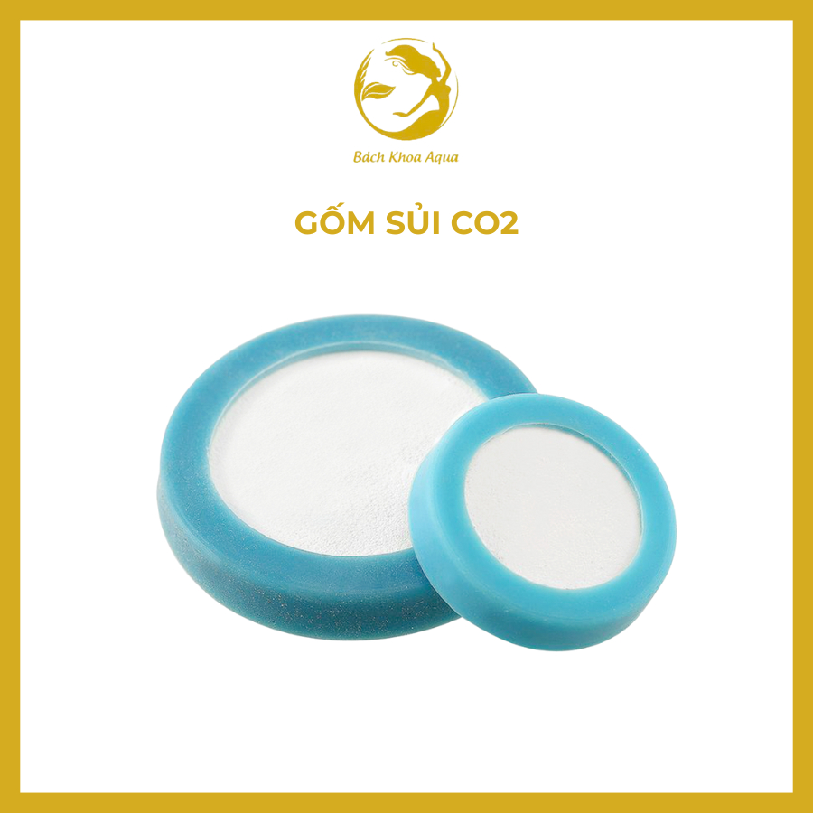 Gốm sủi CO2 – Tạo bọt siêu mịn, khuếch tán CO2 hiệu quả, nhanh chóng cho bể cá