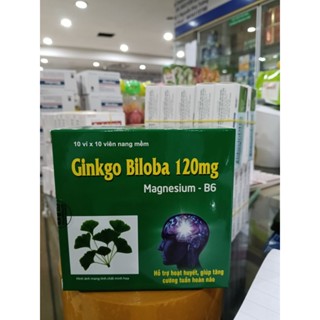 Viên Uống Bổ Não Ginkgo Biloba 120mg