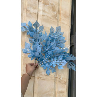 Cụm lá đu đủ cao 40cm