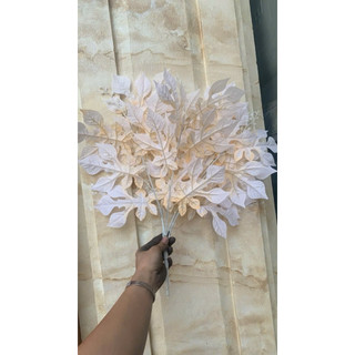 Cụm lá đu đủ cao 40cm