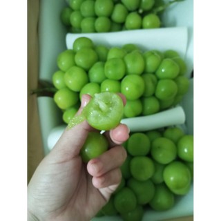 Nho mẫu đơn - Ngọt lịm
