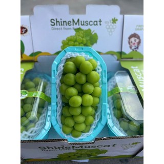 Nho mẫu đơn - Ngọt lịm