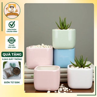 Chậu sứ trồng cây cảnh thiết kế vuông bo chất liệu gốm dày dặn, trang trí tăng vẻ đẹp cho không gian sống