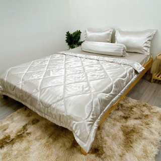Bộ ga gối phi lụa size 1.8x2m( mền 1.7x2m) 5 món nệm dày 15-20cm