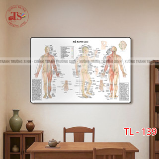  TS Xưởng Tranh Trường Sinh Tranh Tráng Gương Hệ Kinh Lạc Huyệt Đạo Decor Spa Dưỡng Sinh Vật Lý TL 