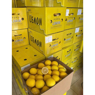 Chanh Vàng Tươi Nhập khẩu Chính Ngạch loại 1(900-1050g)