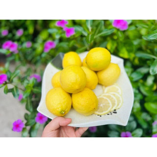 5 kg chanh vàng (TQ) chanh vàng nhập khẩu chính ngạch 5-9 trái/kg