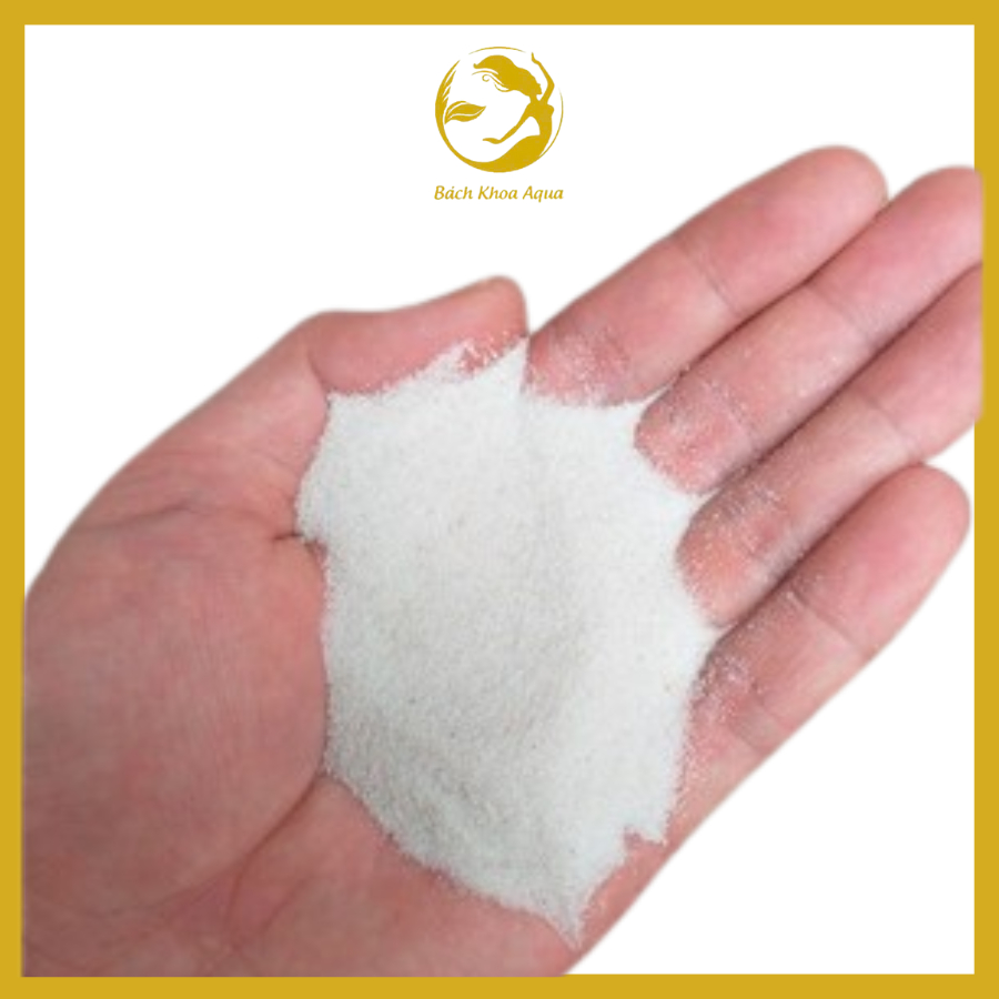 Cát trắng mịn trải nền hồ cá