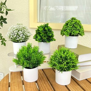  Cây Giả Kèm Chậu Để Bàn Cây Dây Leo Mô Phỏng Decor Trang Trí Nhà Cửa Bàn Làm Việc Văn Phòng 