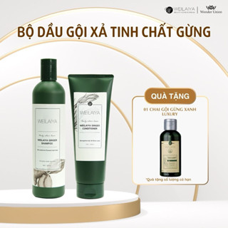 Bộ dầu gội xả gừng Weilaiya giảm rụng, giảm dầu bết, hỗ trợ mọc tóc