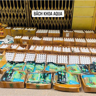 Seachem Flourish Excel (phân nước) chính hãng cho bể thủy sinh, chai 100ml/250ml/500ml