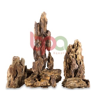 1KG ĐÁ TIGER SETUP HỒ CÁ THỦY SINH - BÁN CẠN TIỂU CẢNH