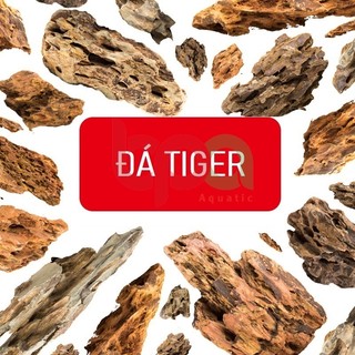1KG ĐÁ TIGER SETUP HỒ CÁ THỦY SINH - BÁN CẠN TIỂU CẢNH