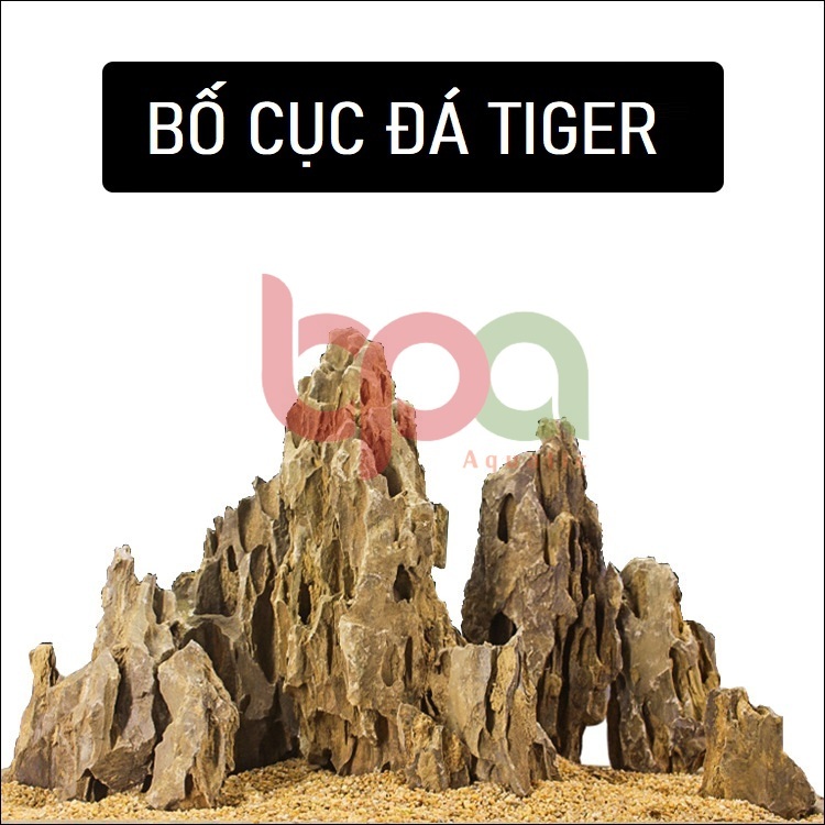 1KG ĐÁ TIGER SETUP HỒ CÁ THỦY SINH - BÁN CẠN TIỂU CẢNH