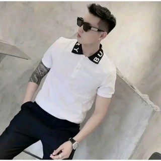 Áo thun polo nam có cổ boy phố bẻ xanh thêu GC phong cách hàn quốc