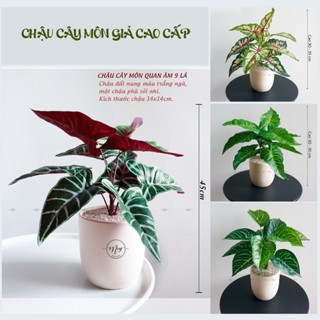  Cây giả Chậu lá Môn kèm chậu đất nung trứng cao 45cm 