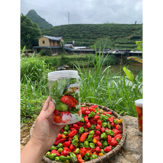Ớt Trung Đoàn Xóc Muối siêu cay