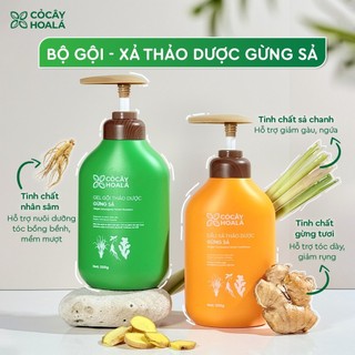  COMBO GỘI XẢ HỮU CƠ GỪNG SẢ _ CỎ CÂY HOA LÁ 500g - Hàng chính hãng 
