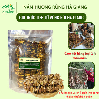 Nấm hương rừng khô Hà Giang, nấm hương rừng loại 1 ít chân túi zip 500gr