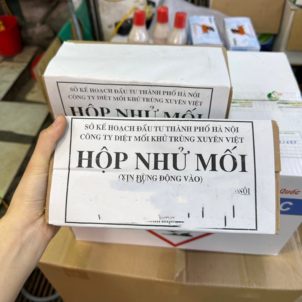 Hộp nhử mối