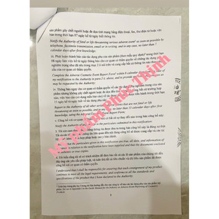 lẻ 1 tuýt kem ngừa nám chim én 10gram (chi-chi)