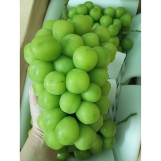 Nho mẫu đơn - Ngọt lịm