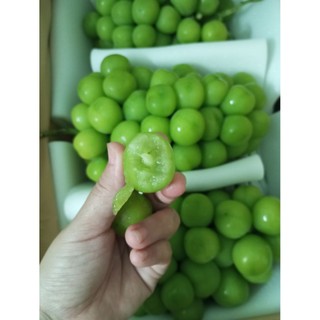 Nho mẫu đơn - Ngọt lịm