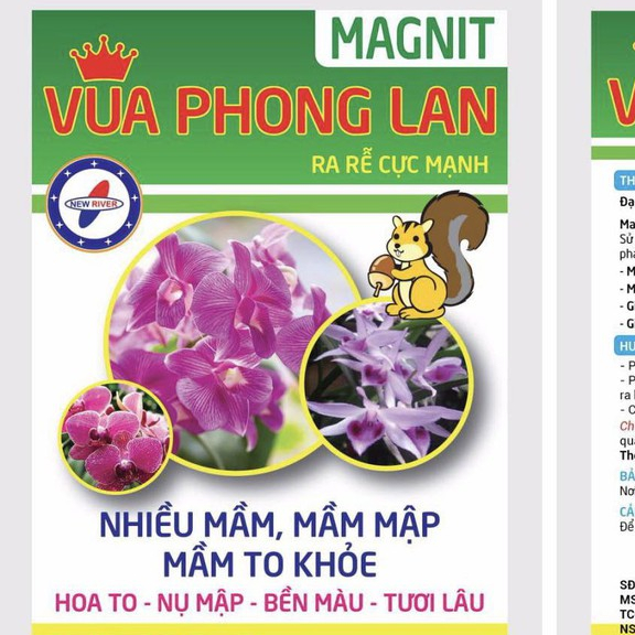 VUA PHONG LAN MAGNIT ( combo 30 gói )