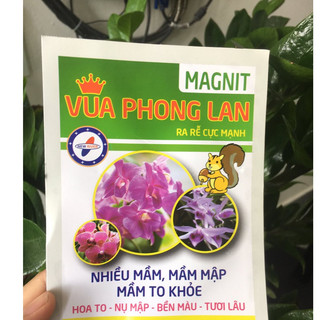 VUA PHONG LAN MAGNIT ( combo 30 gói )