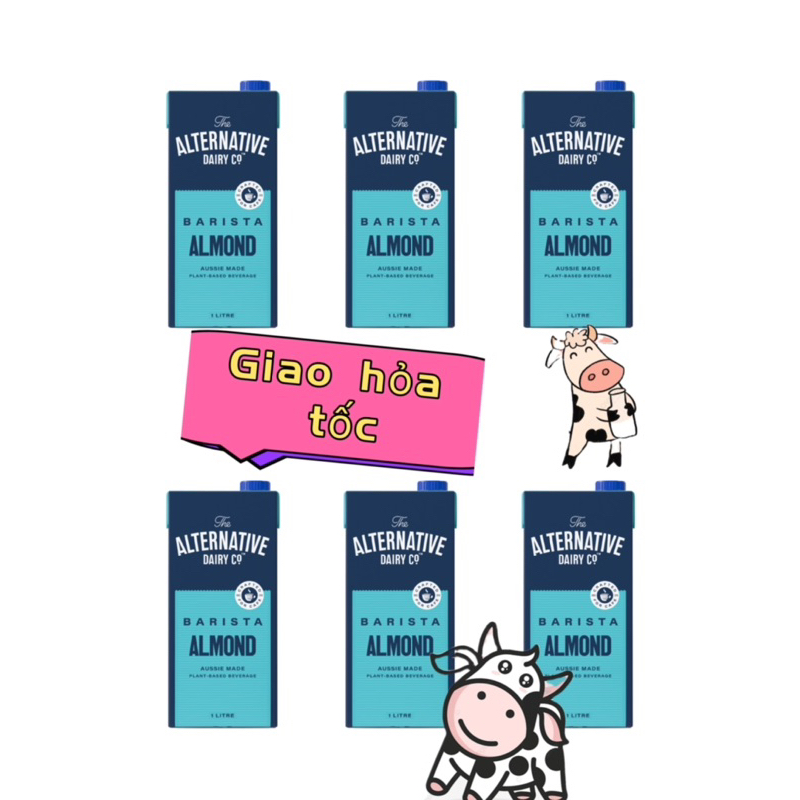 Set 6 Hộp Sữa Alternative Almond Milk