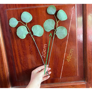 0,5kg lá táo tai voi có gắn sẵn kẽm