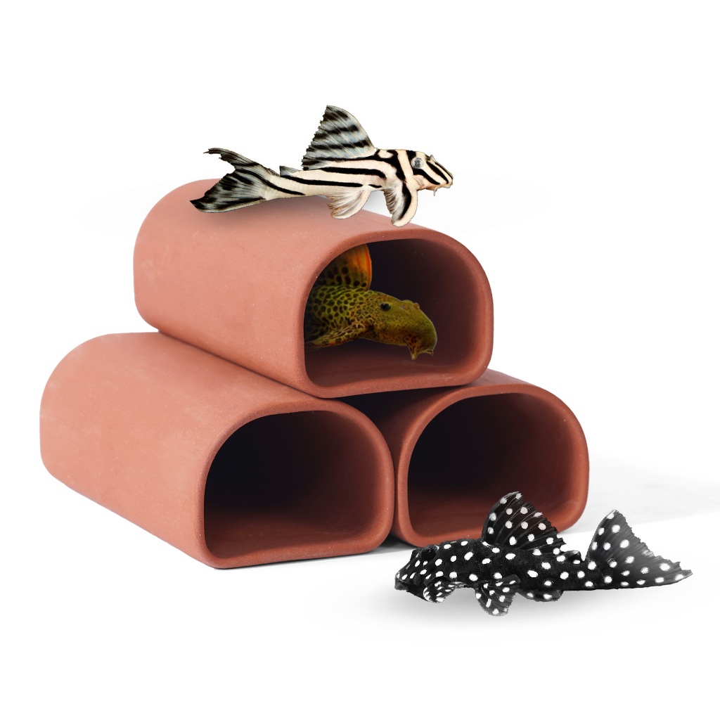 Hang gốm oval nhỏ  cho cá cảnh  cá Pleco, tép