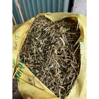 Cà gai leo khô 1 kg hỗ trợ Gan tốt nhất cho gan hàng loại 1