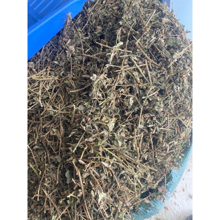 Cà gai leo khô 1 kg hỗ trợ Gan tốt nhất cho gan hàng loại 1
