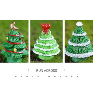 Tiểu cảnh cây thông Noel 3-4cm (ngẫu nhiên)