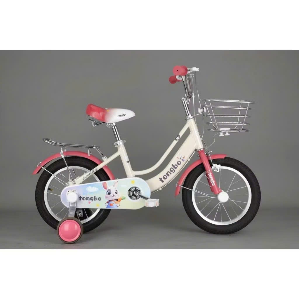 Xe đạp trẻ em Tongbo nữ size 20 inch cho bé gái 7-10 tuổi