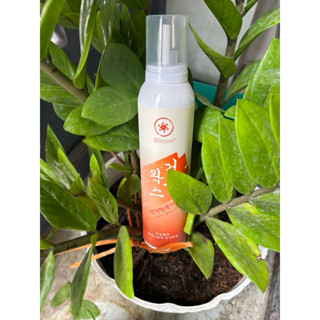 bọt mềm giữ nếp tóc xoăn hippi , gel tạo kiểu bloom cam kết chính hãng 100%