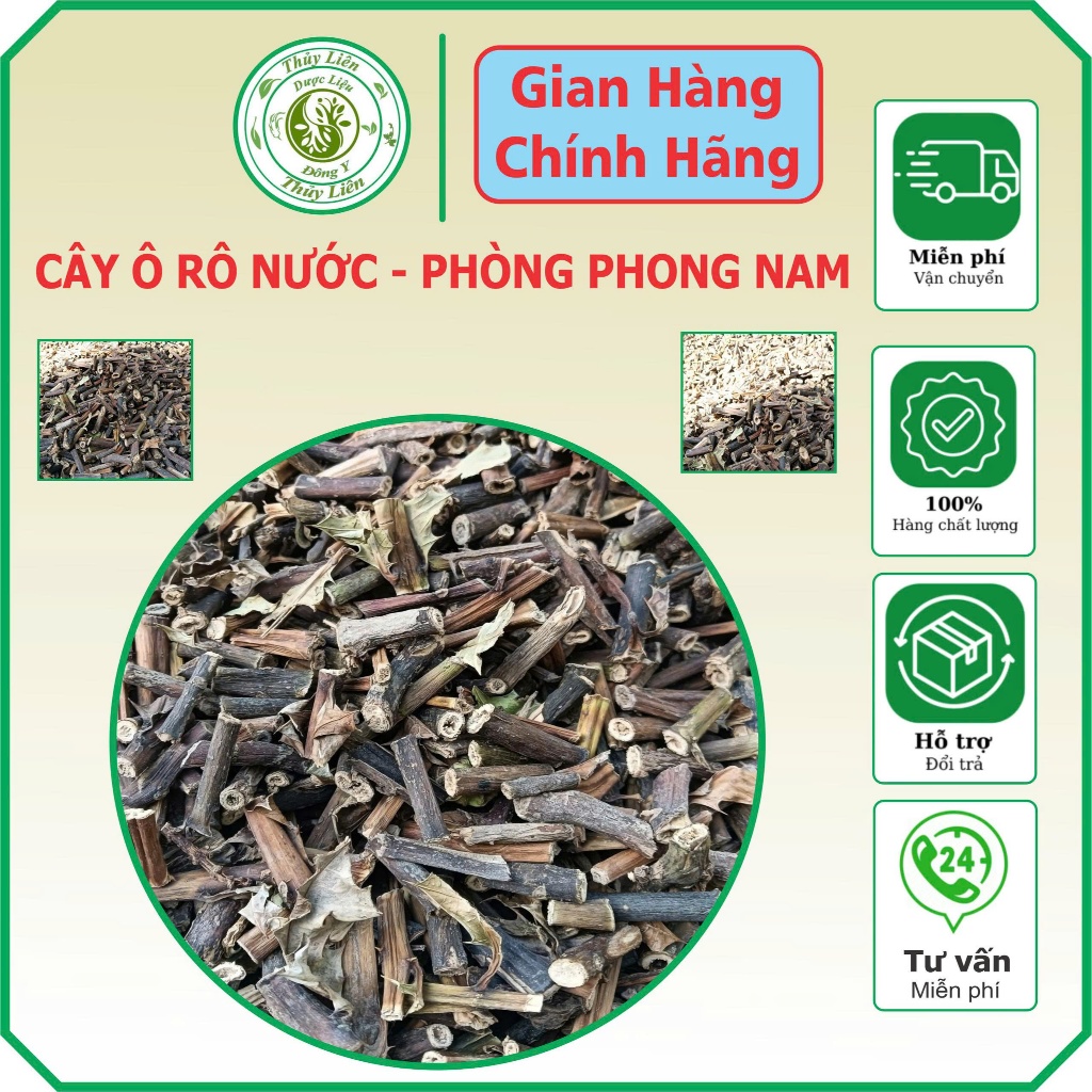 Cây Ô Rô Nước – Phòng Phong Nam Khô Tự Nhiên