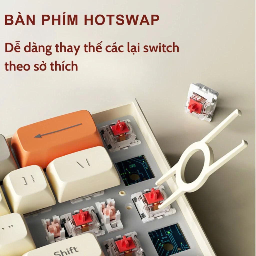 Bàn Phím Cơ LANGTU S69 Hotswap Hỗ Trợ Win/Mac Gaming, Tùy Chỉnh Macro Tiện Lợi,Siêu Nhỏ Gọn | BigBuy360 - bigbuy360.vn