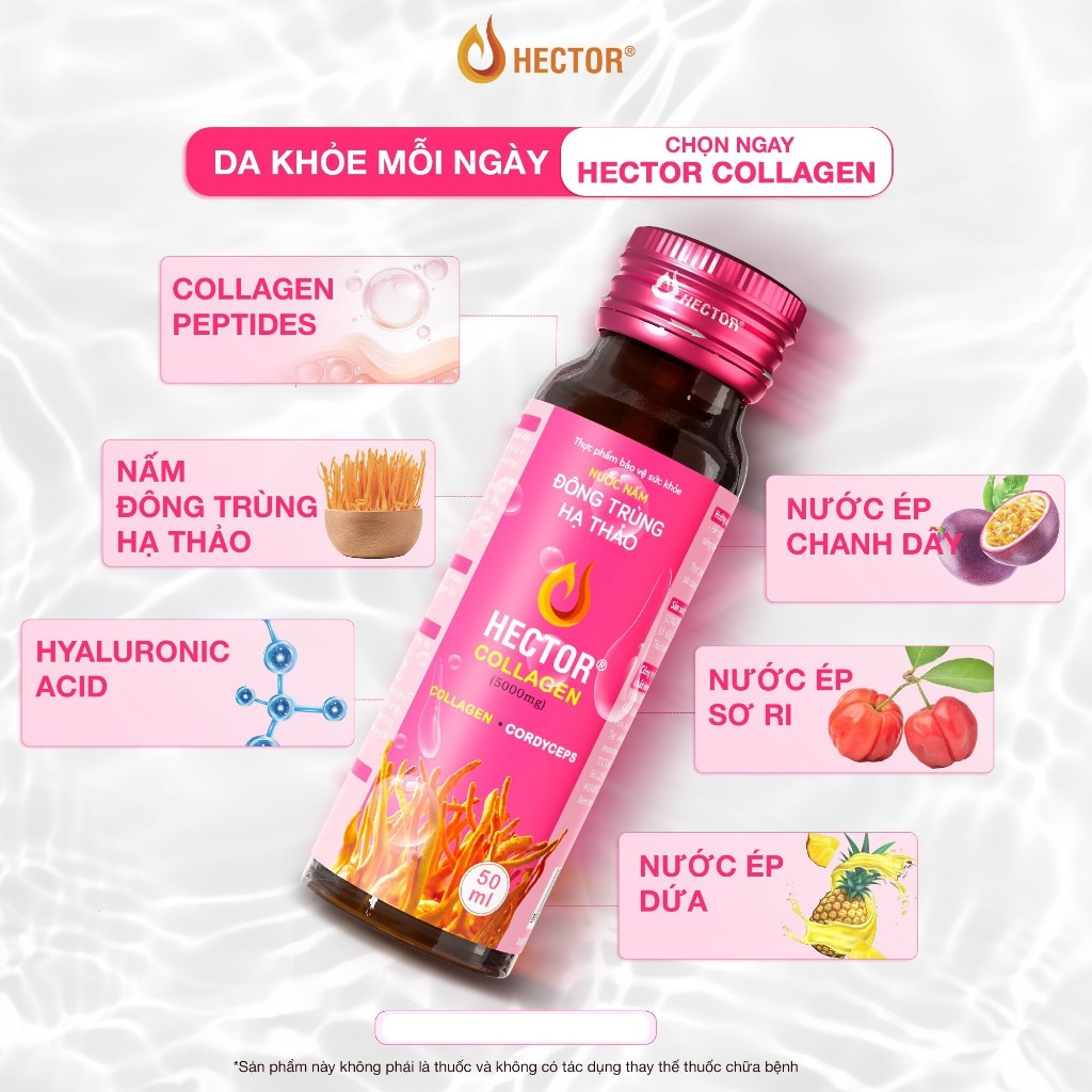 Đông trùng hạ thảo nước Hector kết hợp Collagen hộp 10 chai Hector Store VN