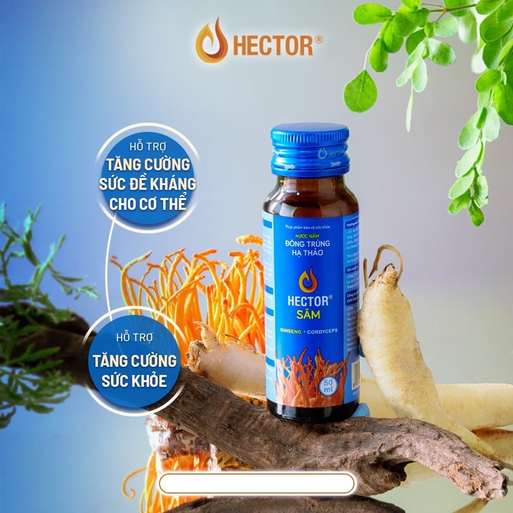 Đông Trùng Hạ Thảo Hector Sâm chai 50ml Hector Store VN
